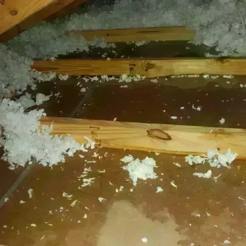 Attic Water Damage in Clay County, TX