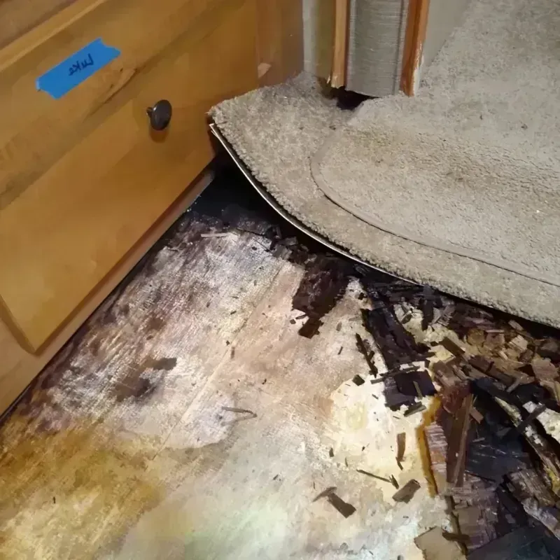 Wood Floor Water Damage in Clay County, TX